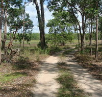Djukbinj National Park - Accommodation in Brisbane