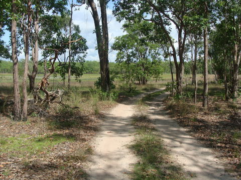 Djukbinj National Park - Accommodation in Brisbane 0