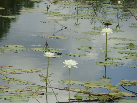 Djukbinj National Park - Accommodation in Brisbane 1