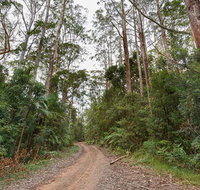 End Peak walking track - Accommodation in Brisbane