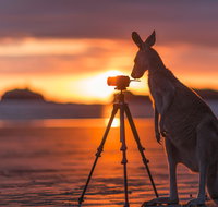 Explore the Mackay Region in Three Days - Accommodation in Brisbane