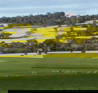 Fini Olives - Accommodation in Brisbane