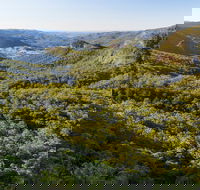 Gold Coast Hinterland Great Walk - Accommodation in Brisbane