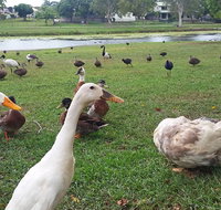 Gooseponds North Mackay - Accommodation in Brisbane