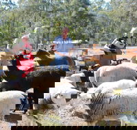 Haigslea EWE Nique Hobby Farm - Accommodation in Brisbane