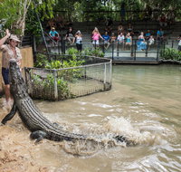 Hartley's Crocodile Adventures - Accommodation in Brisbane