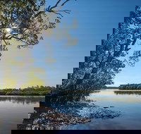 Karuah River National Park and Nature Reserve - Accommodation in Brisbane