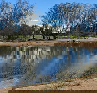 Lake King Wetlands at Rutherglen - Accommodation in Brisbane