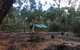Long Lead Picnic Area And Campground - thumb 0
