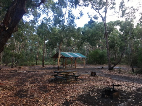 Long Lead Picnic Area And Campground - Accommodation in Brisbane 0
