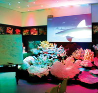 Marine Discovery Centre Hastings Point - Accommodation in Brisbane