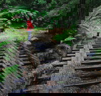 Montezuma Falls - Accommodation in Brisbane