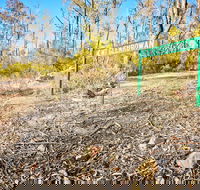 Mt Glenrowan Lookout Walk - Accommodation in Brisbane