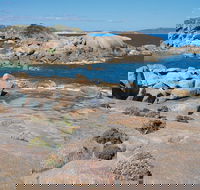 Nanarup Beach - Accommodation in Brisbane