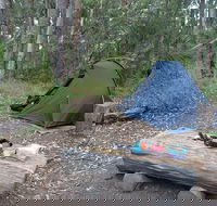 Northbrook Mountain Bush Camp - Accommodation in Brisbane