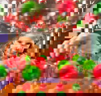 Sciencentre - Accommodation in Brisbane