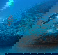 The Zanoni Wreck - Accommodation in Brisbane