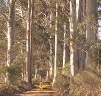 The Great Forest Trees Drive - Accommodation in Brisbane