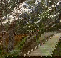 The Briars Park Walking Trails - Accommodation in Brisbane
