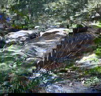 Washpools waterhole - Accommodation in Brisbane