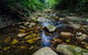 Willi Willi National Park - thumb 0