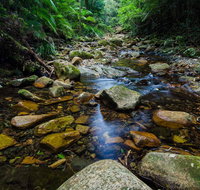 Willi Willi National Park - Accommodation in Brisbane