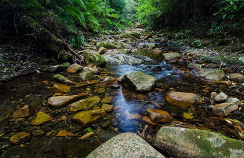 Willi Willi National Park - Accommodation in Brisbane 0