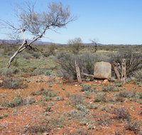 Winnecke Goldfield Cemetery - Accommodation in Brisbane
