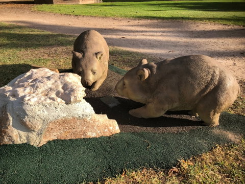 Wombat Statues, Moonta - Accommodation in Brisbane 0