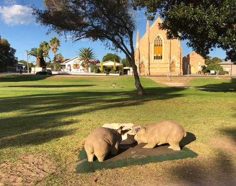 Wombat Statues, Moonta - Accommodation in Brisbane 2