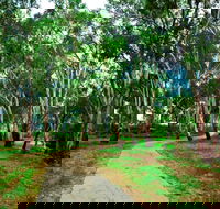 Adungadoo Pathway - Accommodation in Brisbane
