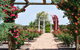 Australian Inland Botanic Gardens - thumb 0