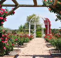 Australian Inland Botanic Gardens - Accommodation in Brisbane