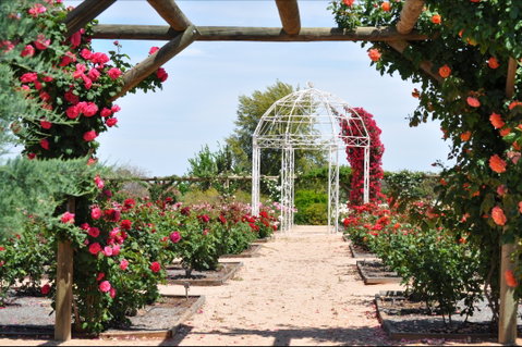 Australian Inland Botanic Gardens - Accommodation in Brisbane 0