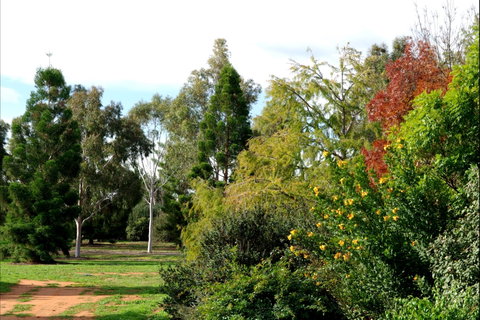 Australian Inland Botanic Gardens - Accommodation in Brisbane 2