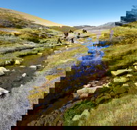 Australian Alps Walking Track - Accommodation in Brisbane