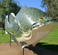 Big Murray Cod - Accommodation in Brisbane