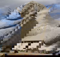 Big Merino - Accommodation in Brisbane