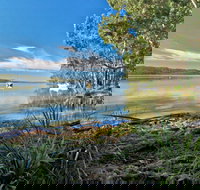 Black Oaks Picnic Area - Accommodation in Brisbane