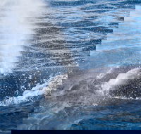 Bremer Bay Canyon - Accommodation in Brisbane