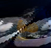 Bronwyn Clarke Ceramics - Accommodation in Brisbane