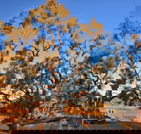 Burke and Wills Dig Tree - Accommodation in Brisbane