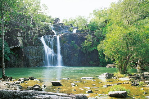 Cedar Creek Falls - Accommodation in Brisbane 0