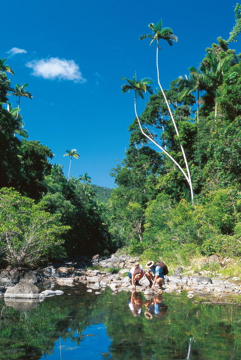 Cedar Creek Falls - Accommodation in Brisbane 2