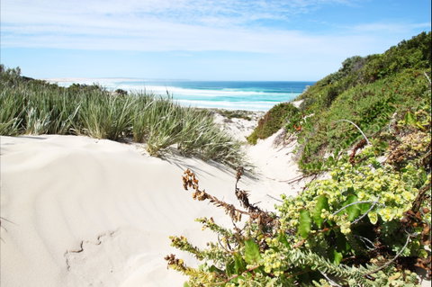 Coffin Bay National Park - Accommodation in Brisbane 1