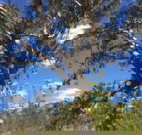 Euroa Arboretum - Accommodation in Brisbane