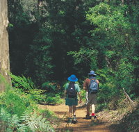Gloucester National Park - Accommodation in Brisbane