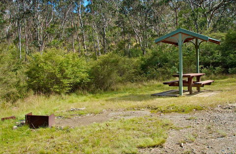 Gloucester Tops Picnic Area - Accommodation in Brisbane 0