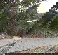 Great North Walk  Ku-ring-gai Chase National Park - Accommodation in Brisbane