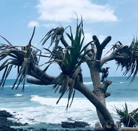 Hastings Point Beach - Accommodation in Brisbane
